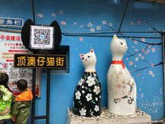 -猫咪博物馆(顶澳仔猫街店)