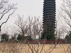 -西海子公园