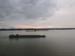 -大南门牛肉包子店