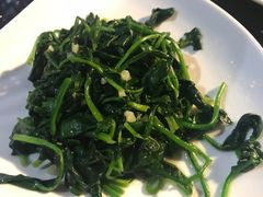 -云中小雅