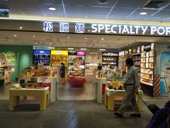 -升恒昌免税商店(台北松山机场店)