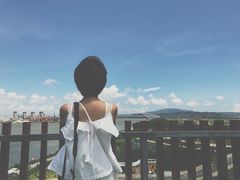 游乐设施-芒洲湿地公园