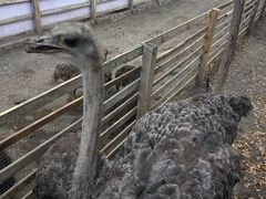 -水上乐园·欢乐世界