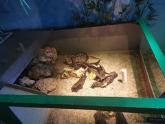 -沈阳海洋探索中心