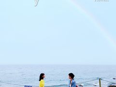 -广东惠东海龟国家级自然保护区