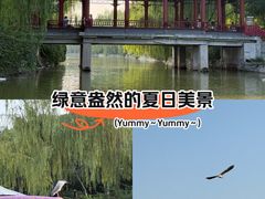 -南翠屏公园