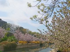 -元大都城垣遗址公园