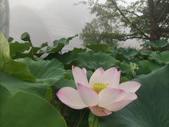 -南山植物园