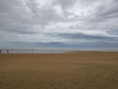 -日照海滨国家森林公园