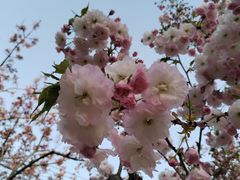 -甘井子公园
