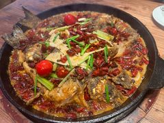 -老板恋上鱼(高新万达店)