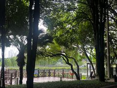 -南宁南湖公园