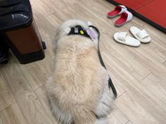 -Vamos巴猫司健身中心(五角场店)