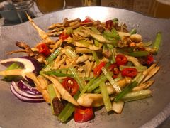 -洞庭家宴·头牌甲鱼(广渠门店)