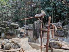 -杭州野生动物世界
