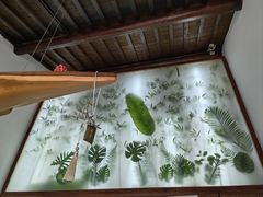 -竹子咖啡bamboo coffee