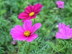 -海心沙亚运公园