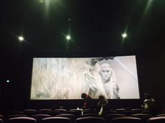 iphone_upload_pic-大光明丽盛影城(新大陆广场店)