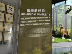 -房山世界地质公园博物馆