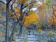 -北京鹫峰国家森林公园