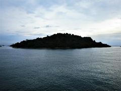 -维乐口腔医院(星海湾分院)