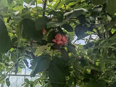 -南通洲际绿博园