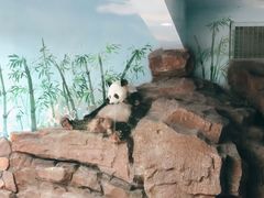 -济南野生动物世界