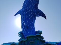 -横琴湾畔餐厅(长隆海洋王国白鲸剧场店)