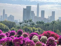 -莲花山公园