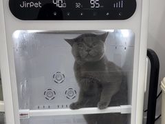 -爱洗澡的猫(天河路店)