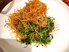巧拌豆苗-四季民福烤鸭店(前门店)
