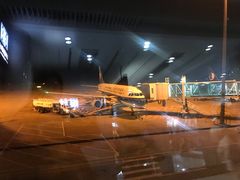 -威海大水泊国际机场