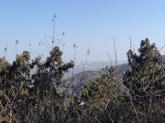 -香山公园