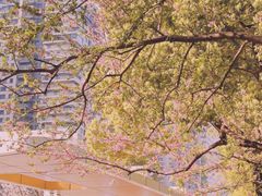 -西北湖绿化广场