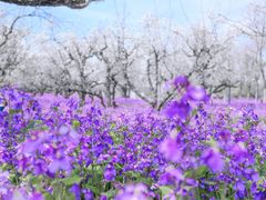 -江苏三台山国家森林公园