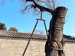 -保定直隶总督署博物馆