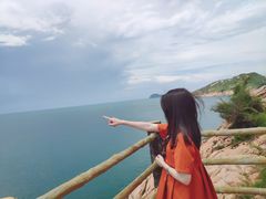-广东惠东海龟国家级自然保护区