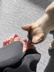 -四季·予你日式美甲美睫Nail