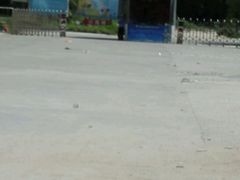android_upload_pic-珠海金沙滩