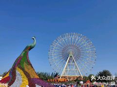 -七彩云南欢乐世界