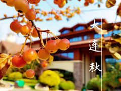 -大连金石滩绿发温泉假日酒店