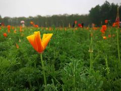 -江苏三台山国家森林公园
