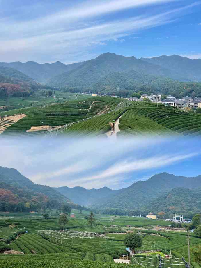 龙坞茶村-"促使我骑着那辆沉睡很久的单车去龙坞茶村,.