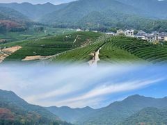 -龙坞茶村