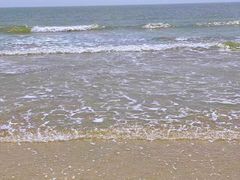 -日照海滨国家森林公园