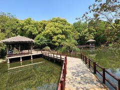 -上海滨江森林公园