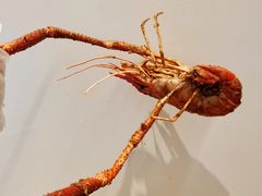 -隅乐胡椒虾·台湾菜·团建(皇岗店)