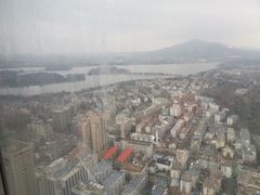 -紫峰大厦