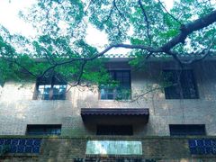 -中山大学学者灵芝(园南路店)
