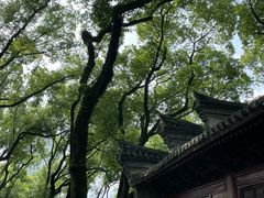-天一阁博物院